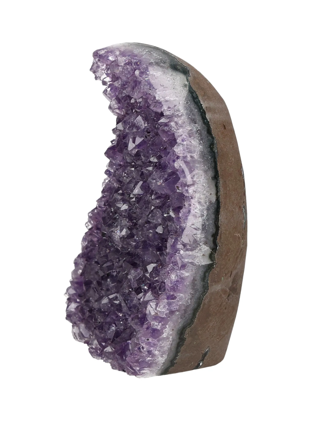 orbitvu|type:image2d