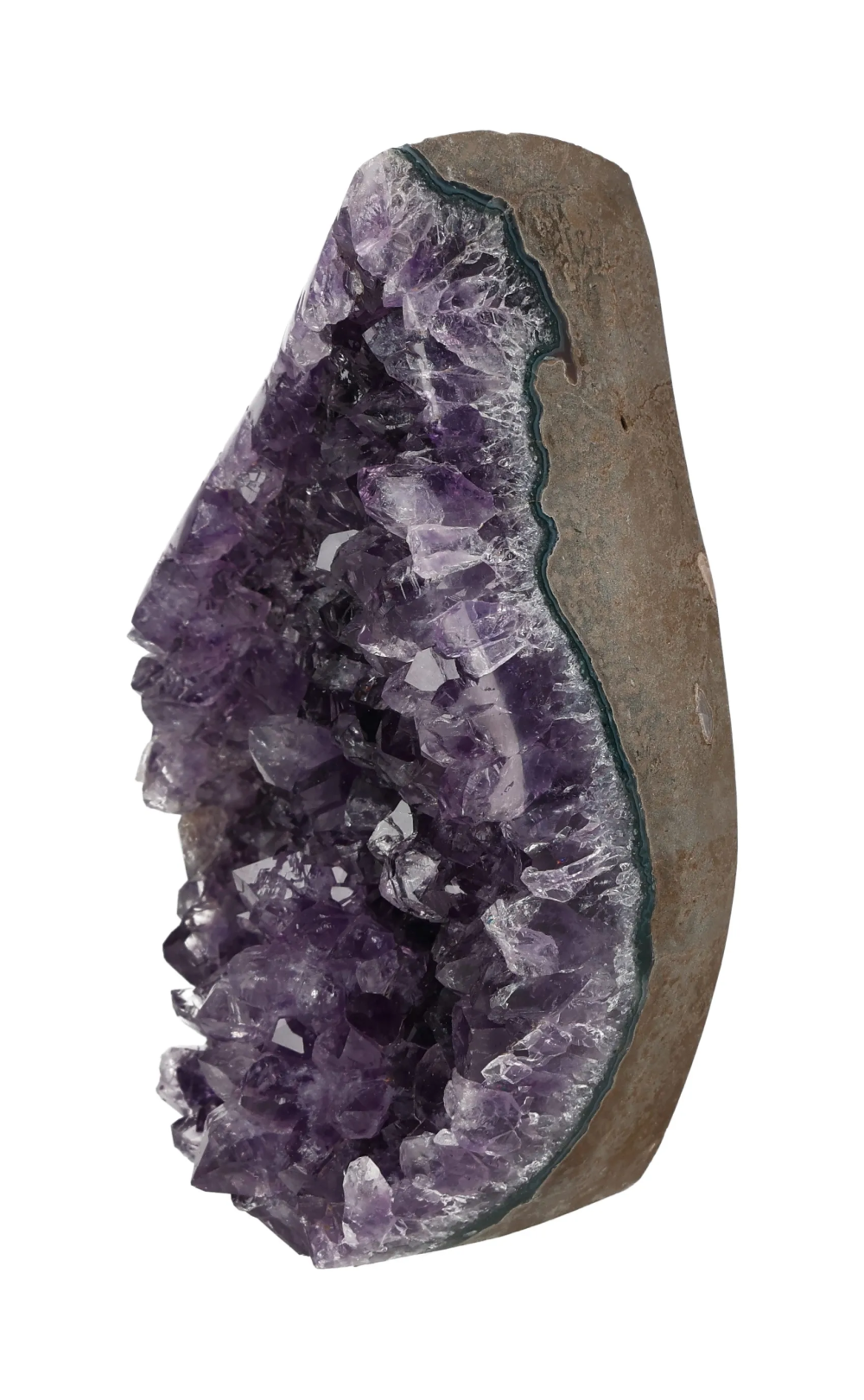 orbitvu|type:image2d