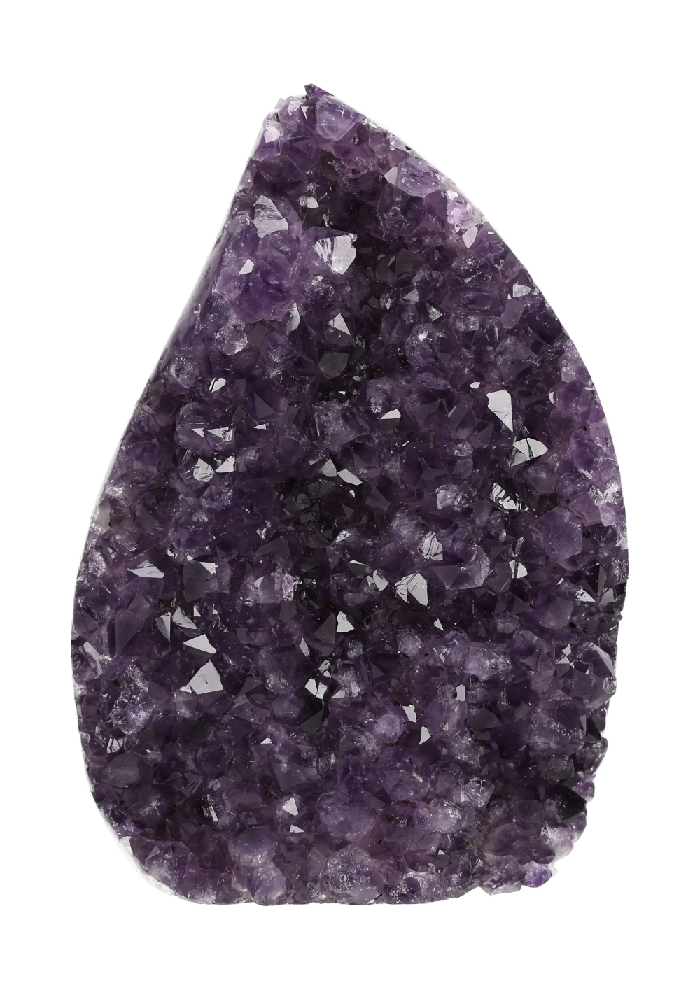 orbitvu|type:image2d