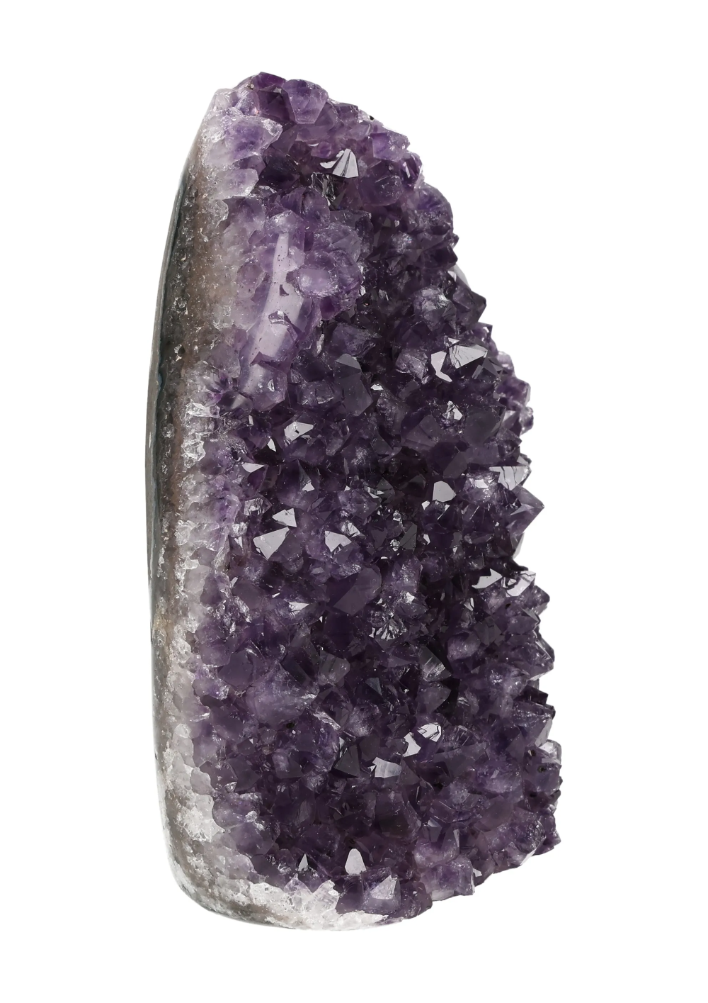 orbitvu|type:image2d