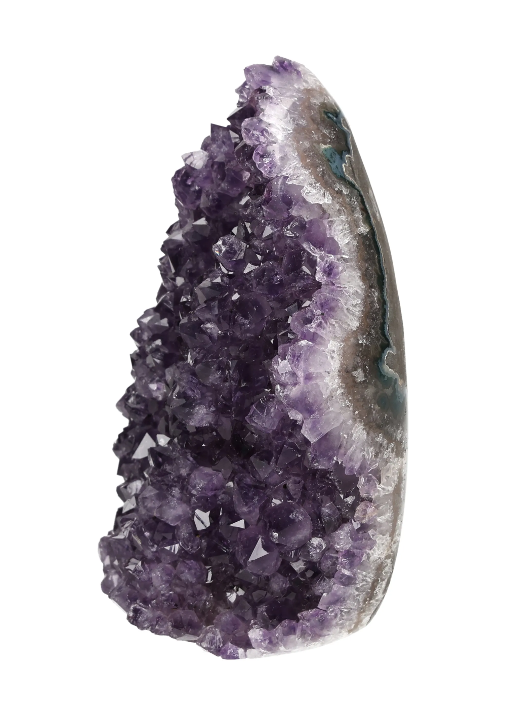 orbitvu|type:image2d