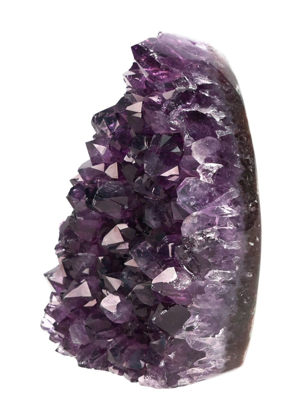 orbitvu|type:image2d