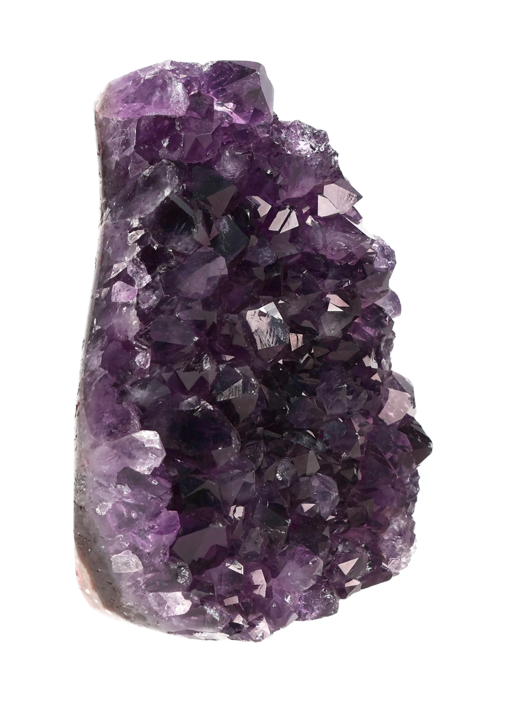 orbitvu|type:image2d