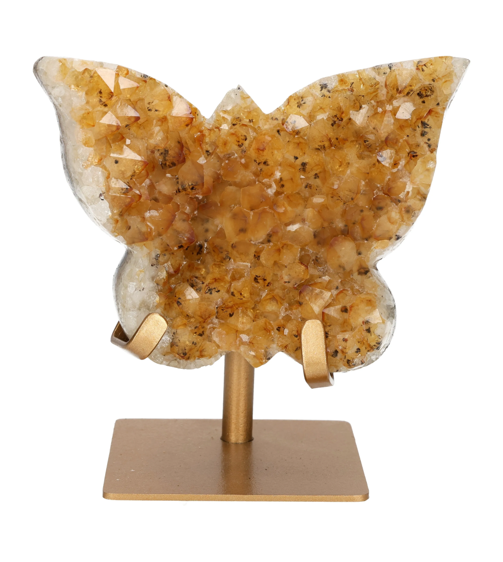 orbitvu|type:image2d