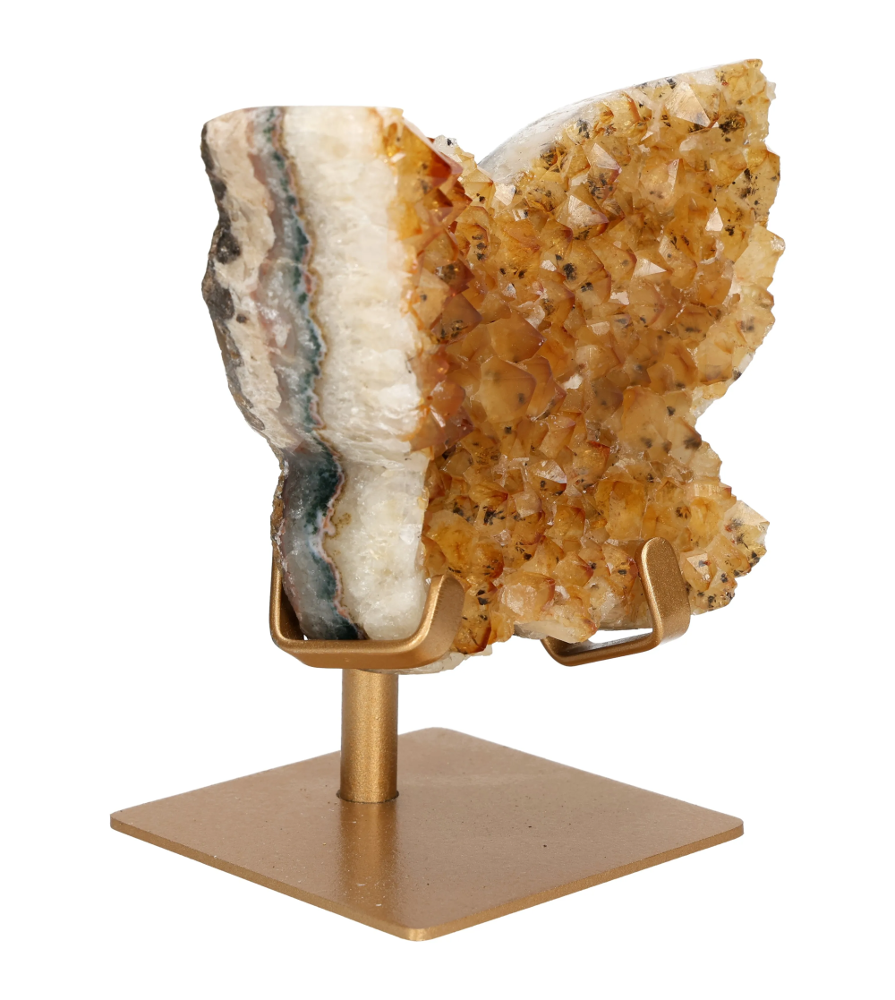 orbitvu|type:image2d