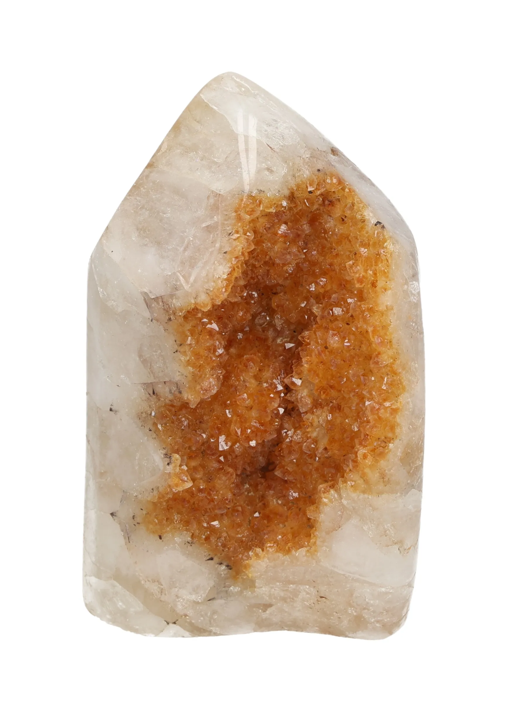 orbitvu|type:image2d