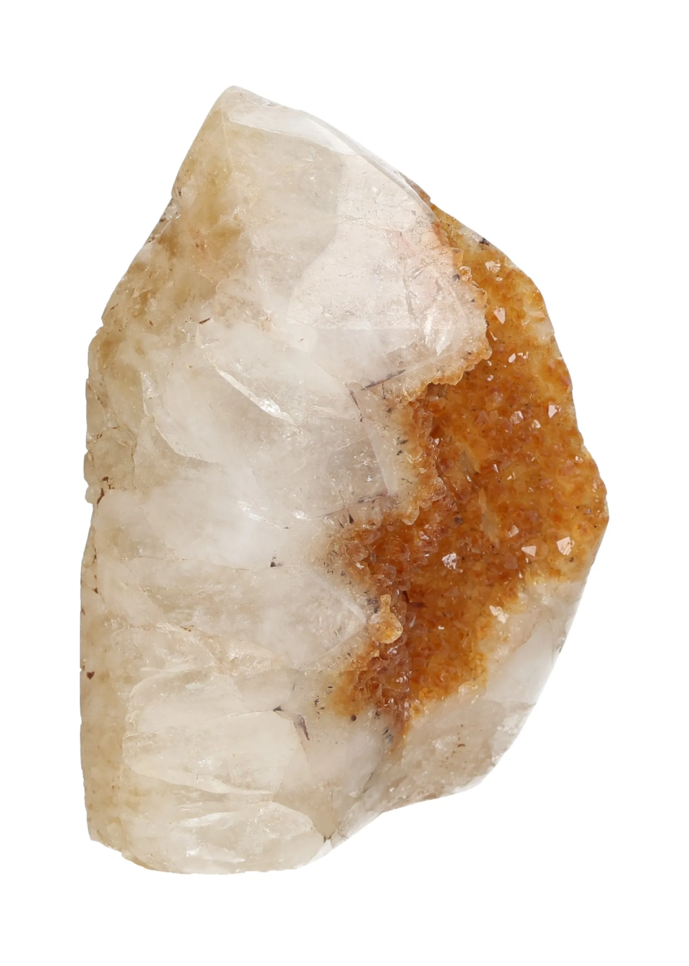 orbitvu|type:image2d