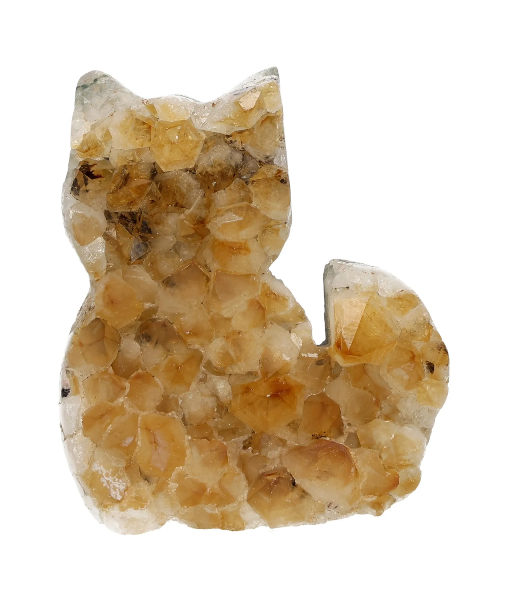 orbitvu|type:image2d