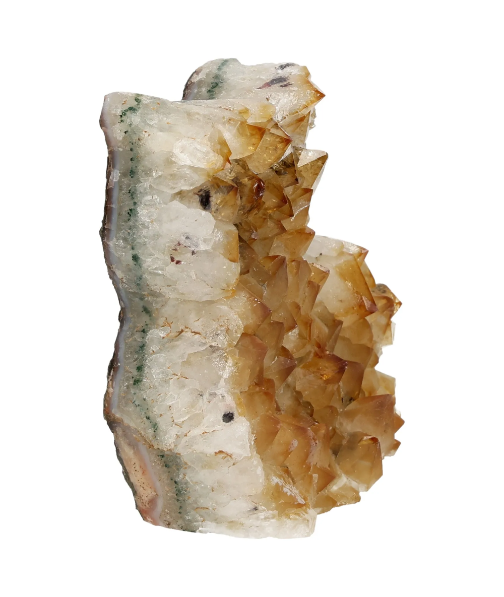 orbitvu|type:image2d