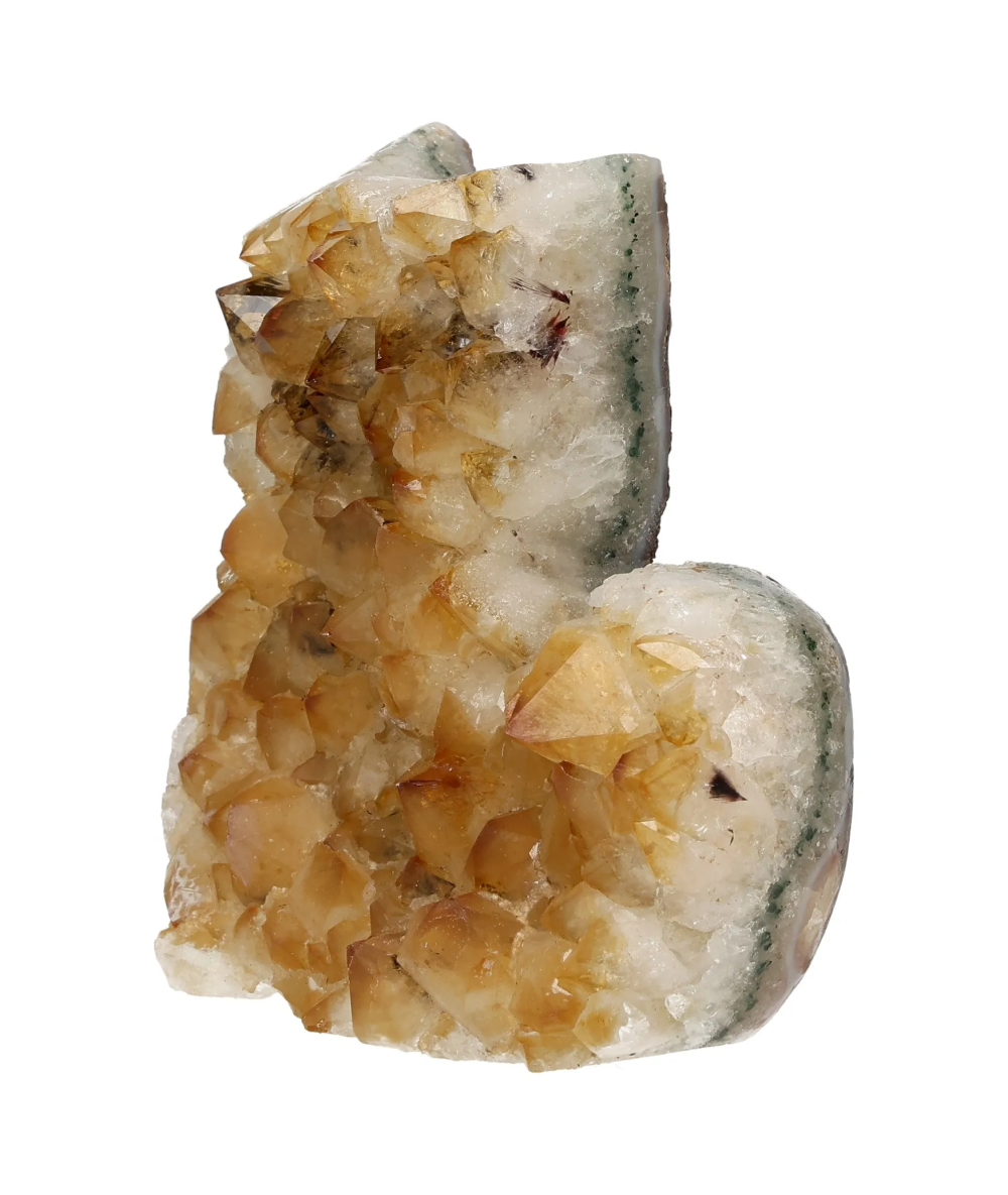 orbitvu|type:image2d