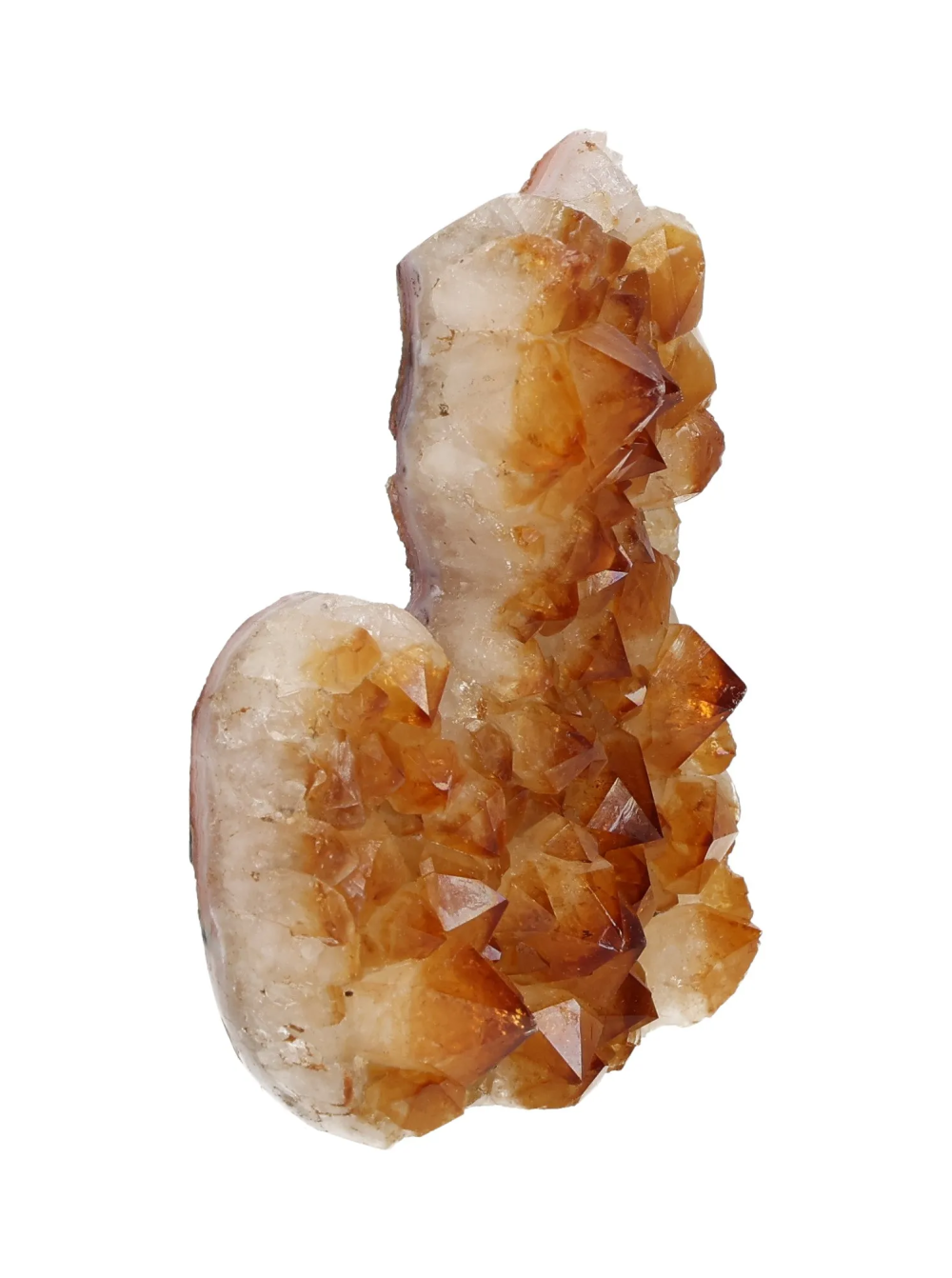 orbitvu|type:image2d