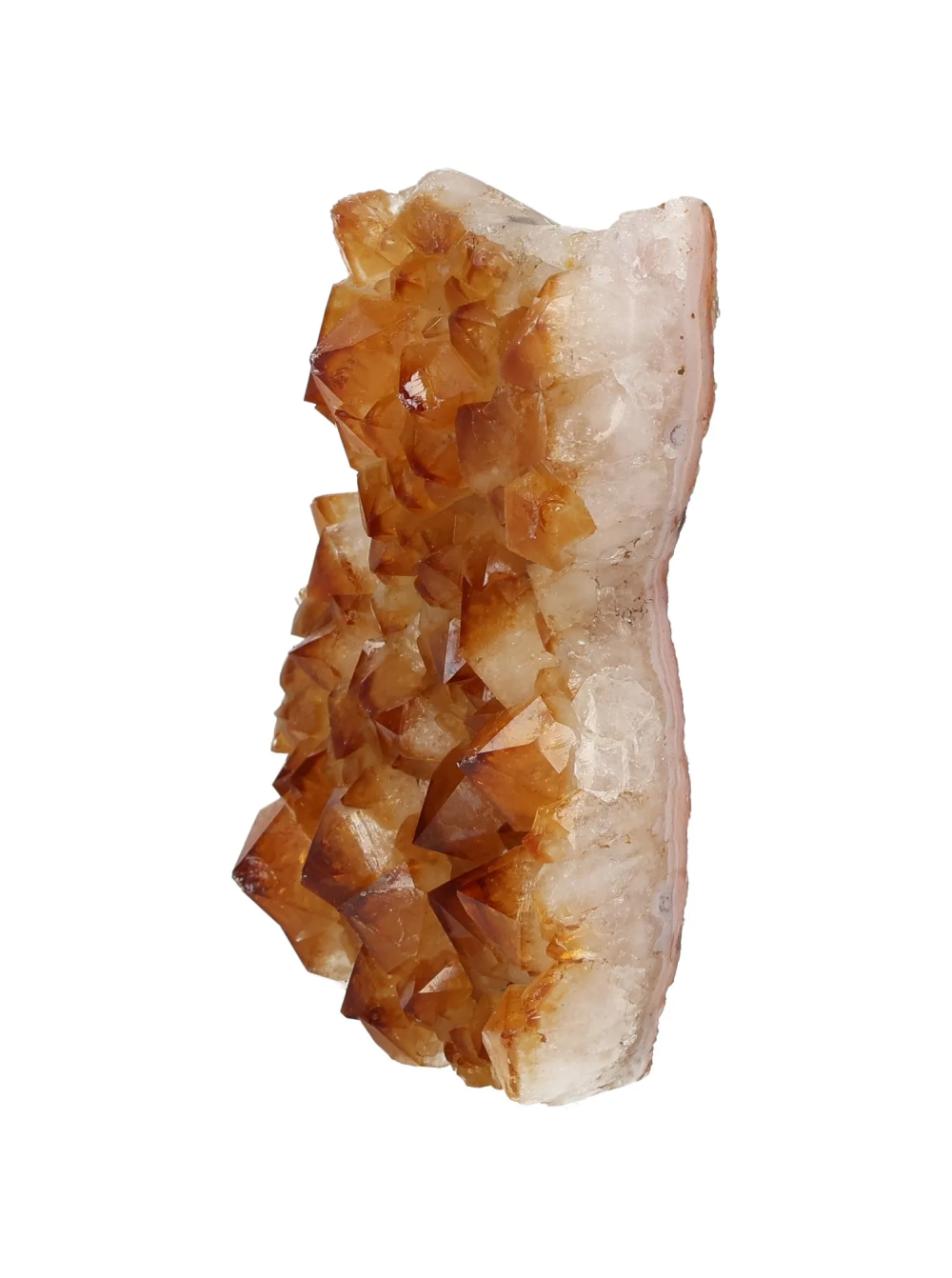 orbitvu|type:image2d