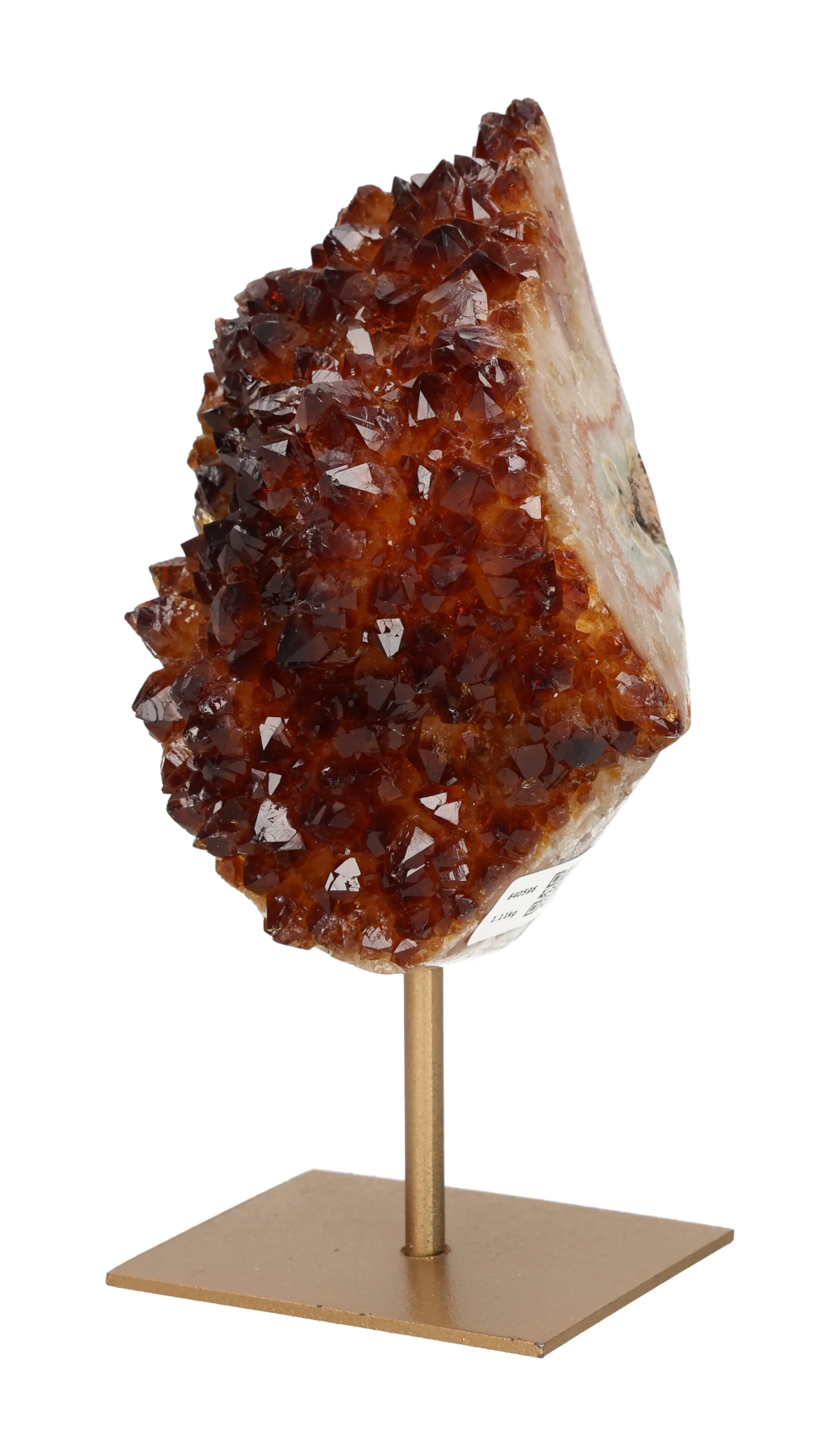 orbitvu|type:image2d