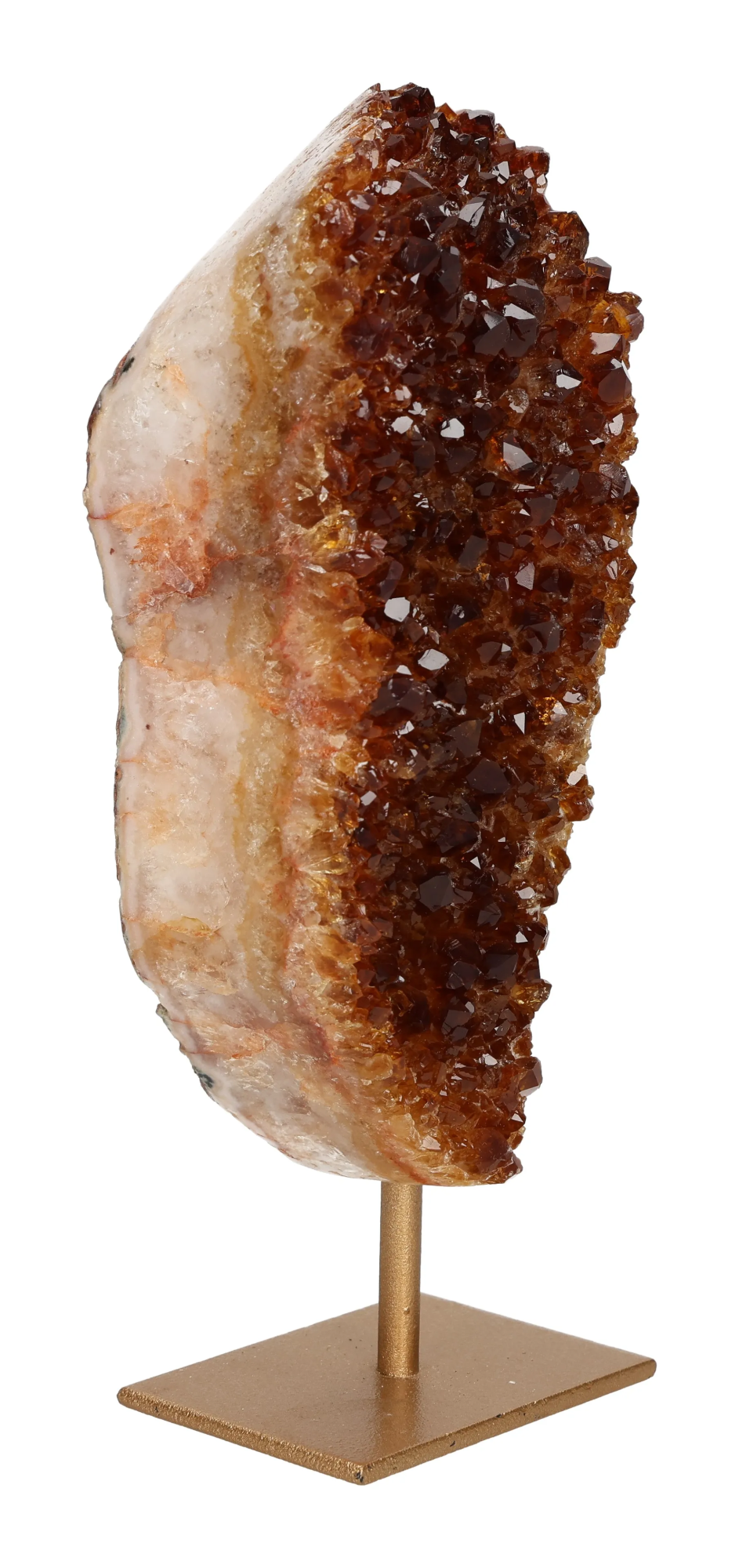 orbitvu|type:image2d