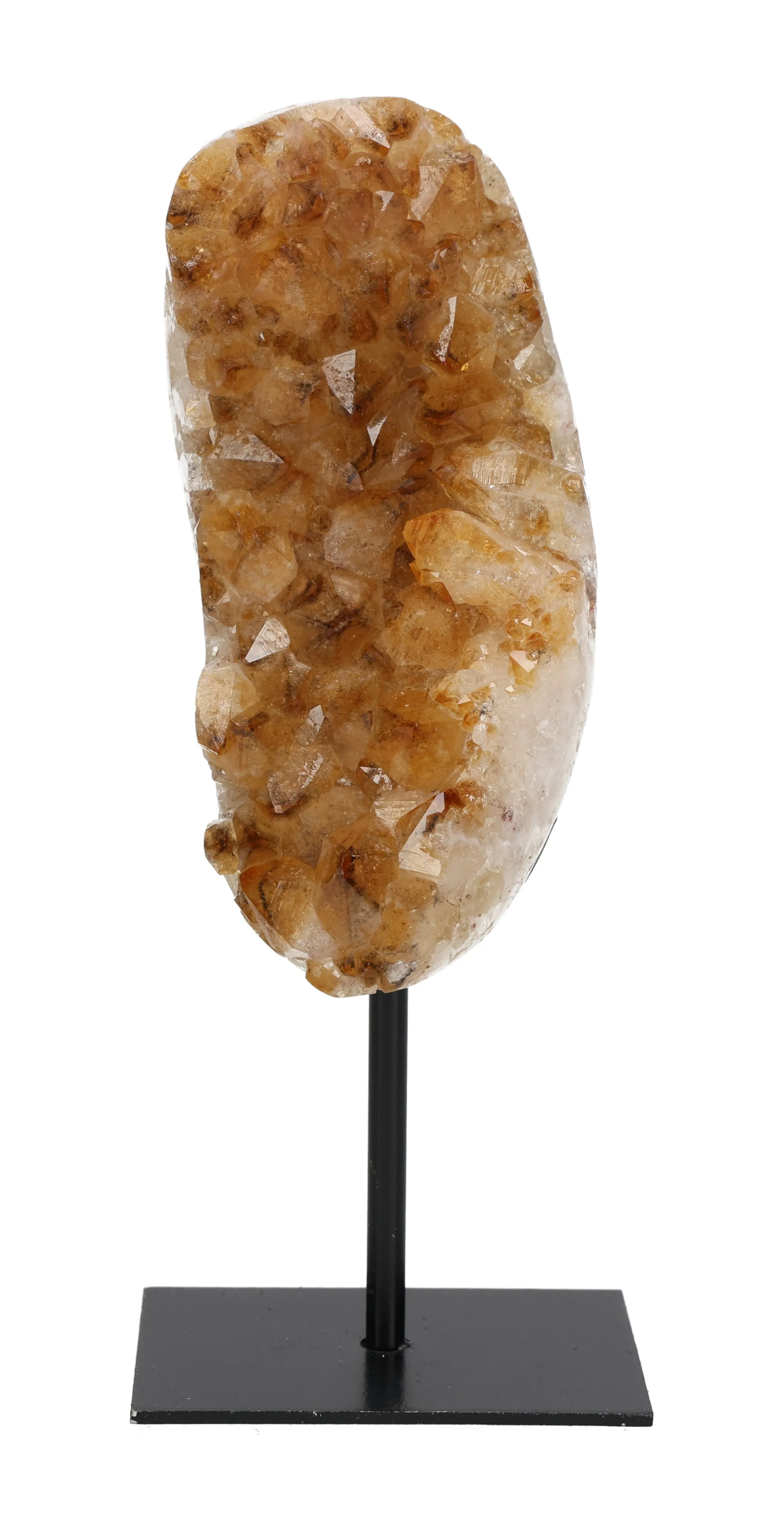 orbitvu|type:image2d