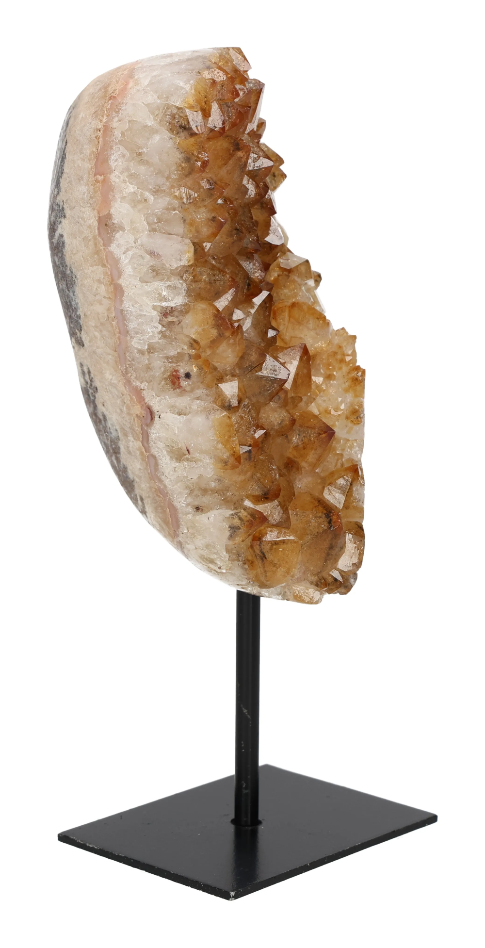 orbitvu|type:image2d