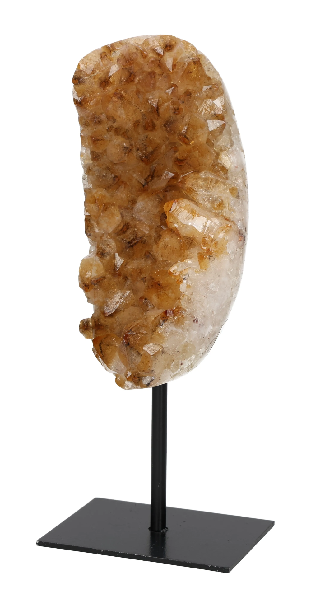 orbitvu|type:image2d