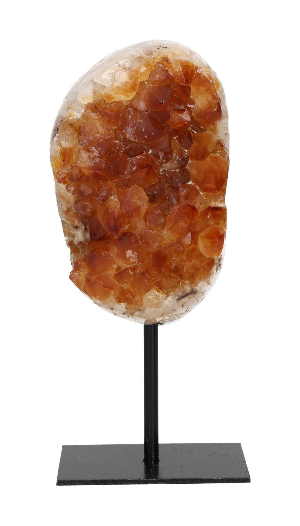 orbitvu|type:image2d