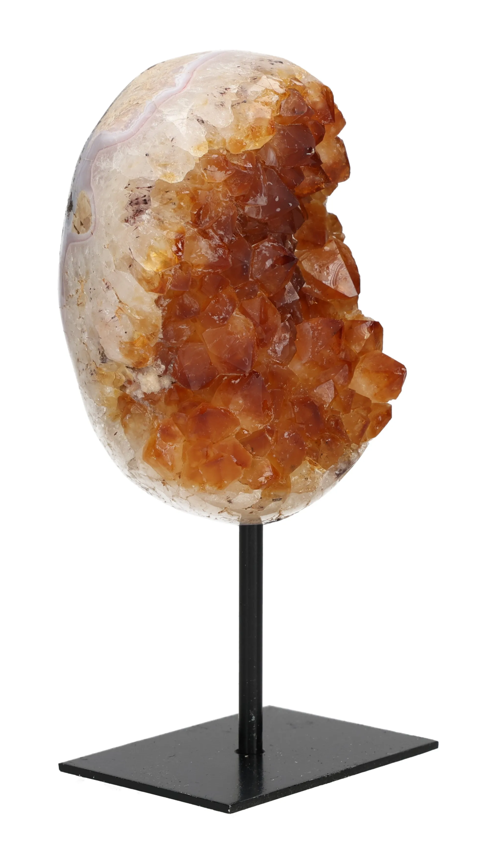 orbitvu|type:image2d