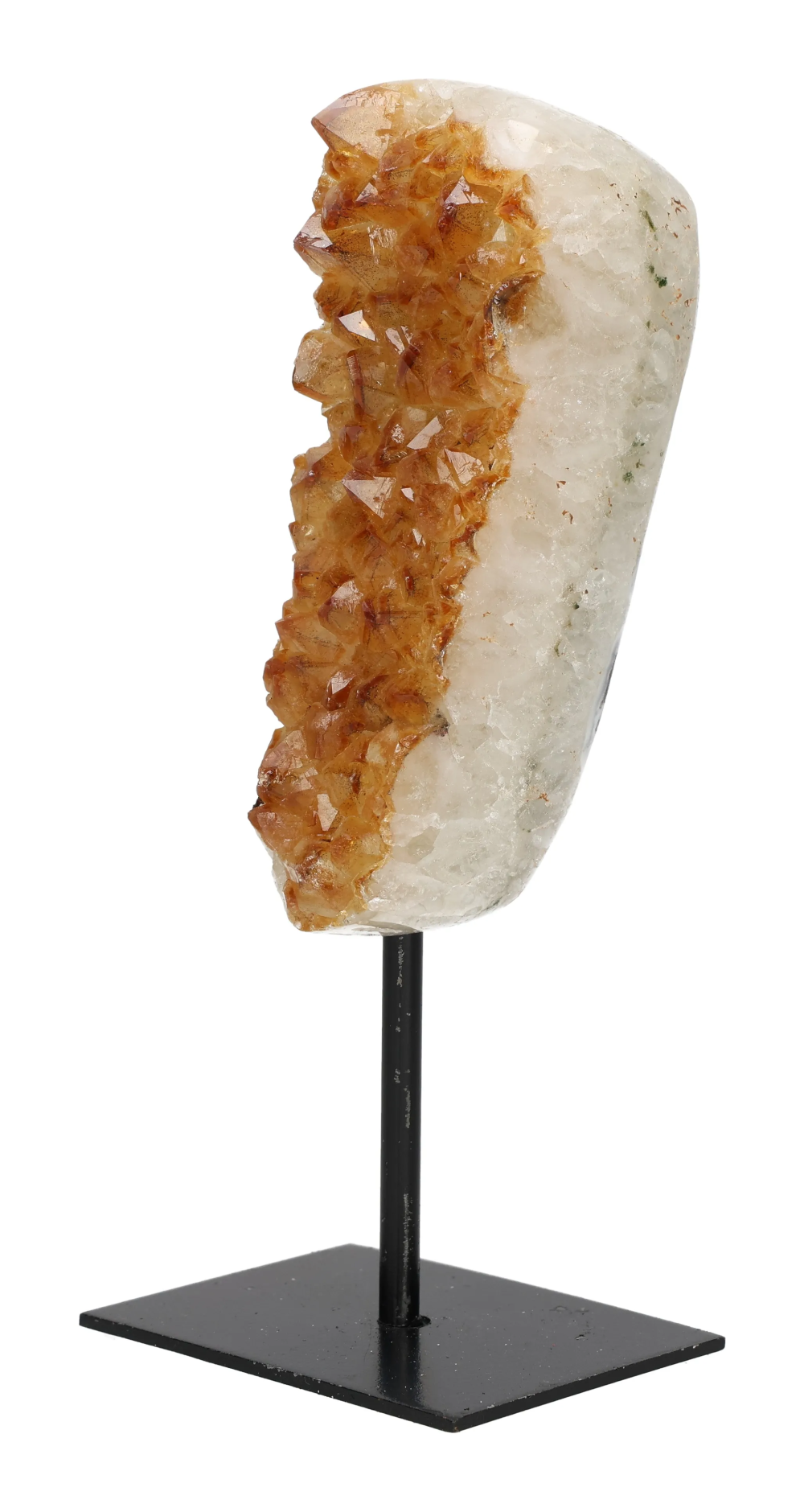 orbitvu|type:image2d