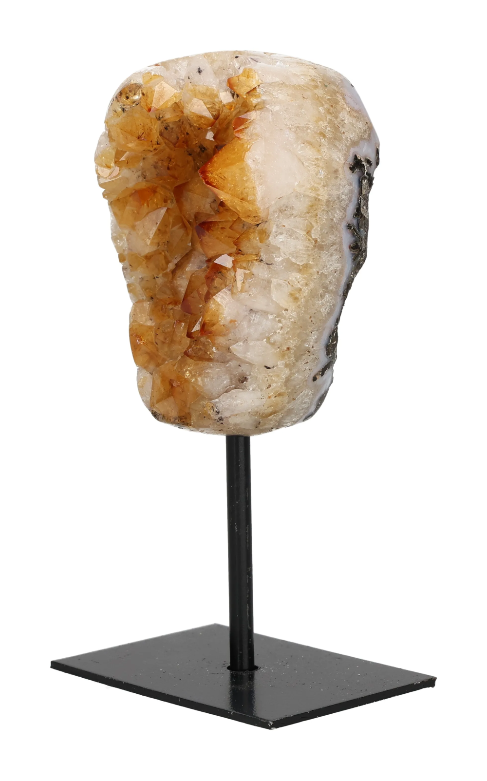 orbitvu|type:image2d