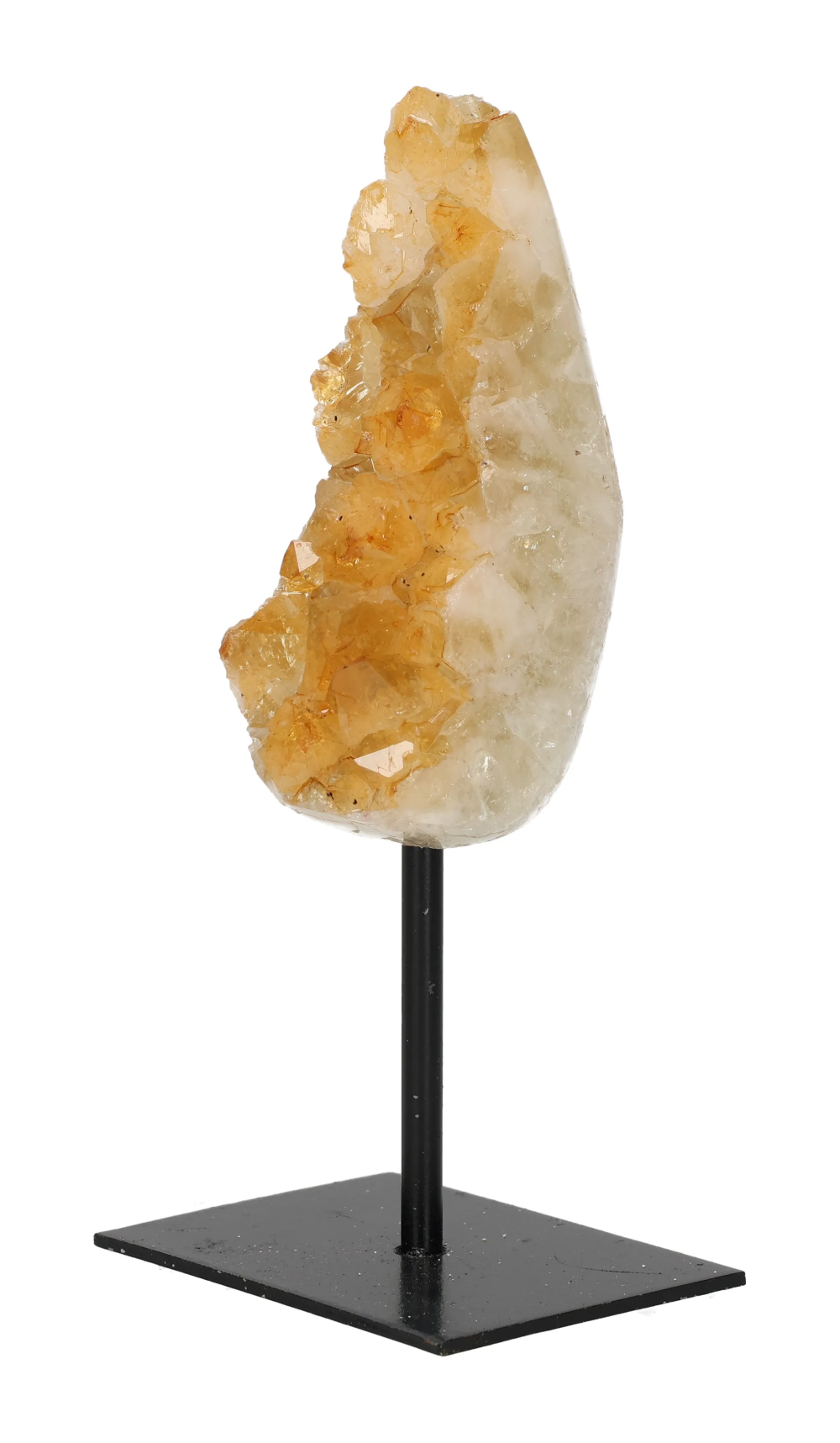 orbitvu|type:image2d