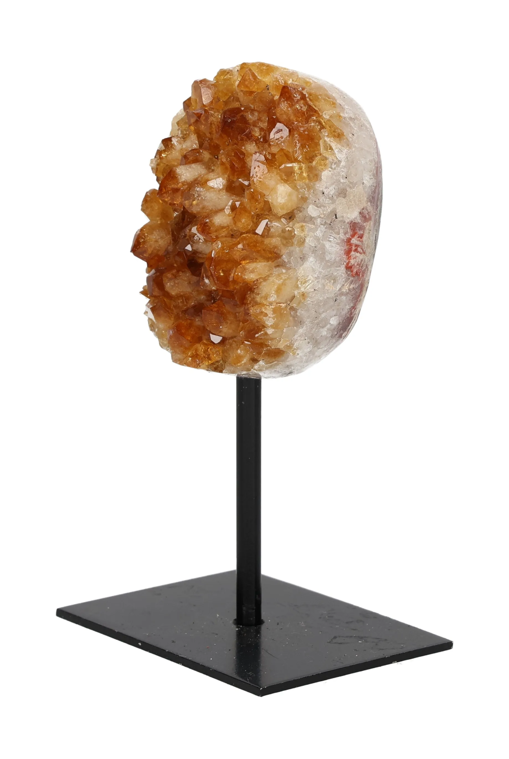 orbitvu|type:image2d