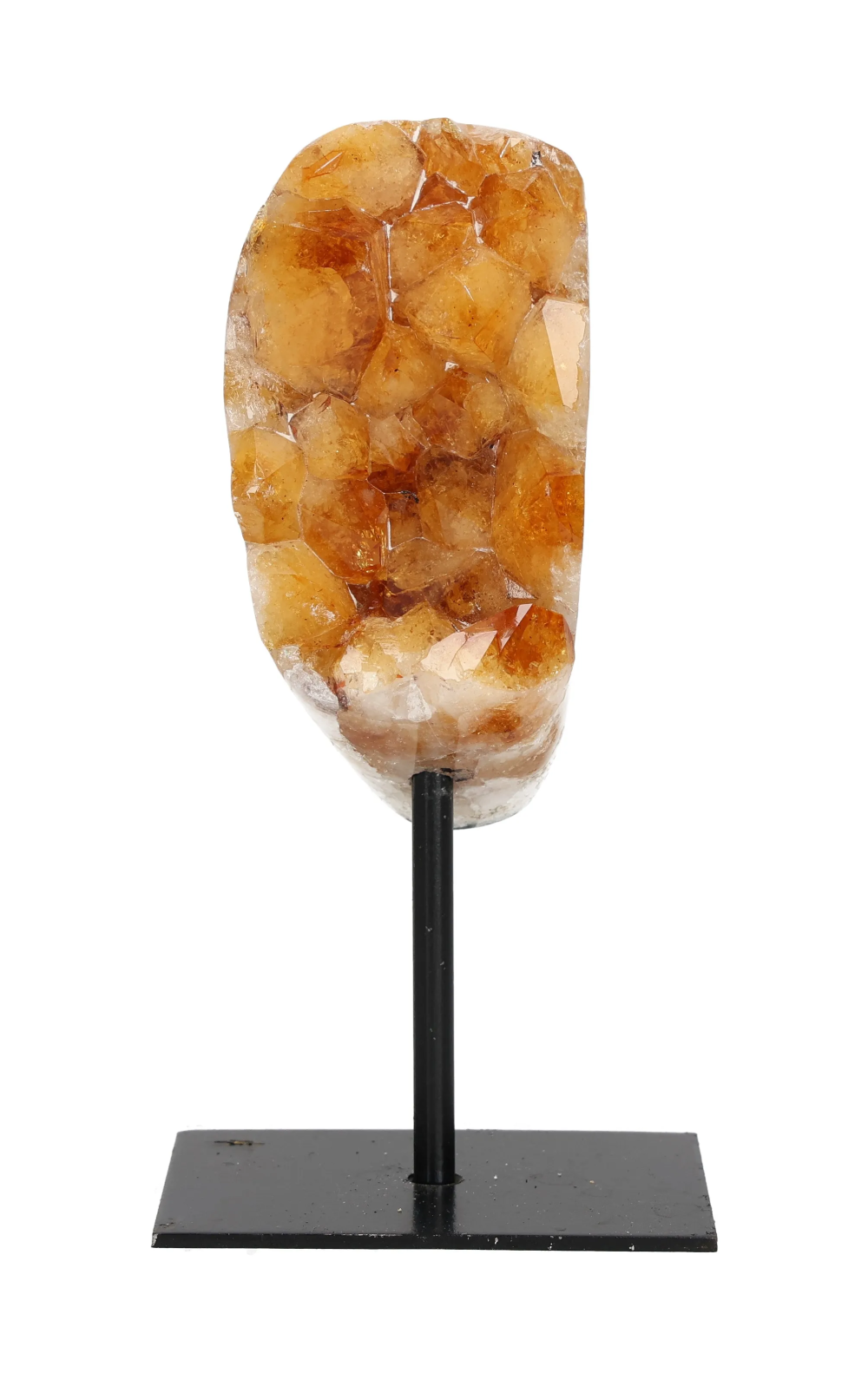 orbitvu|type:image2d