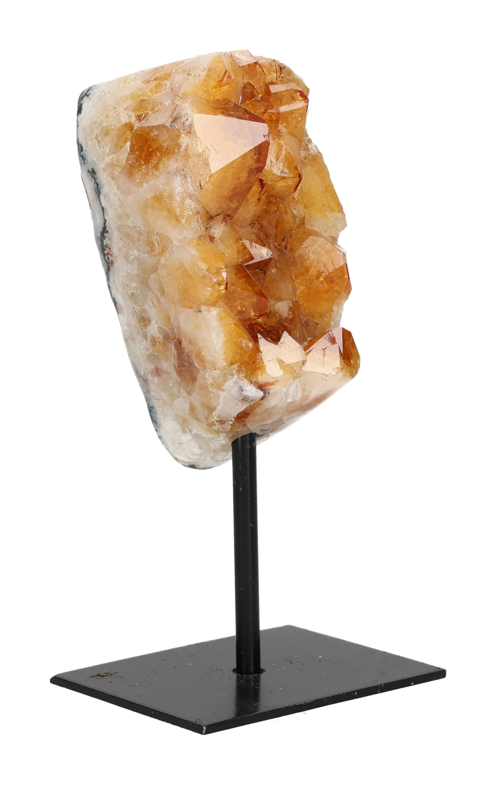 orbitvu|type:image2d