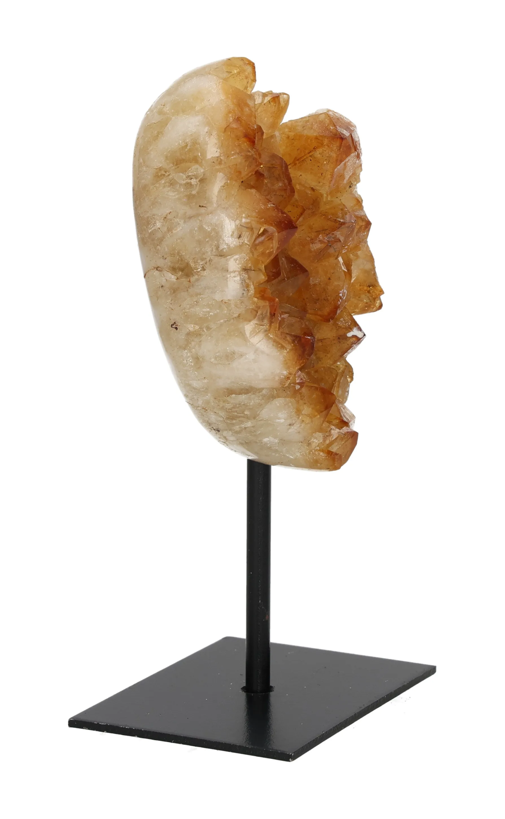 orbitvu|type:image2d