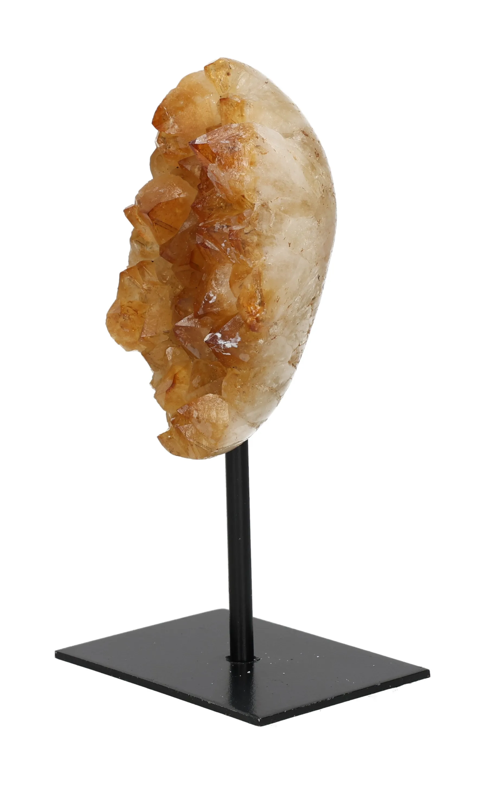 orbitvu|type:image2d