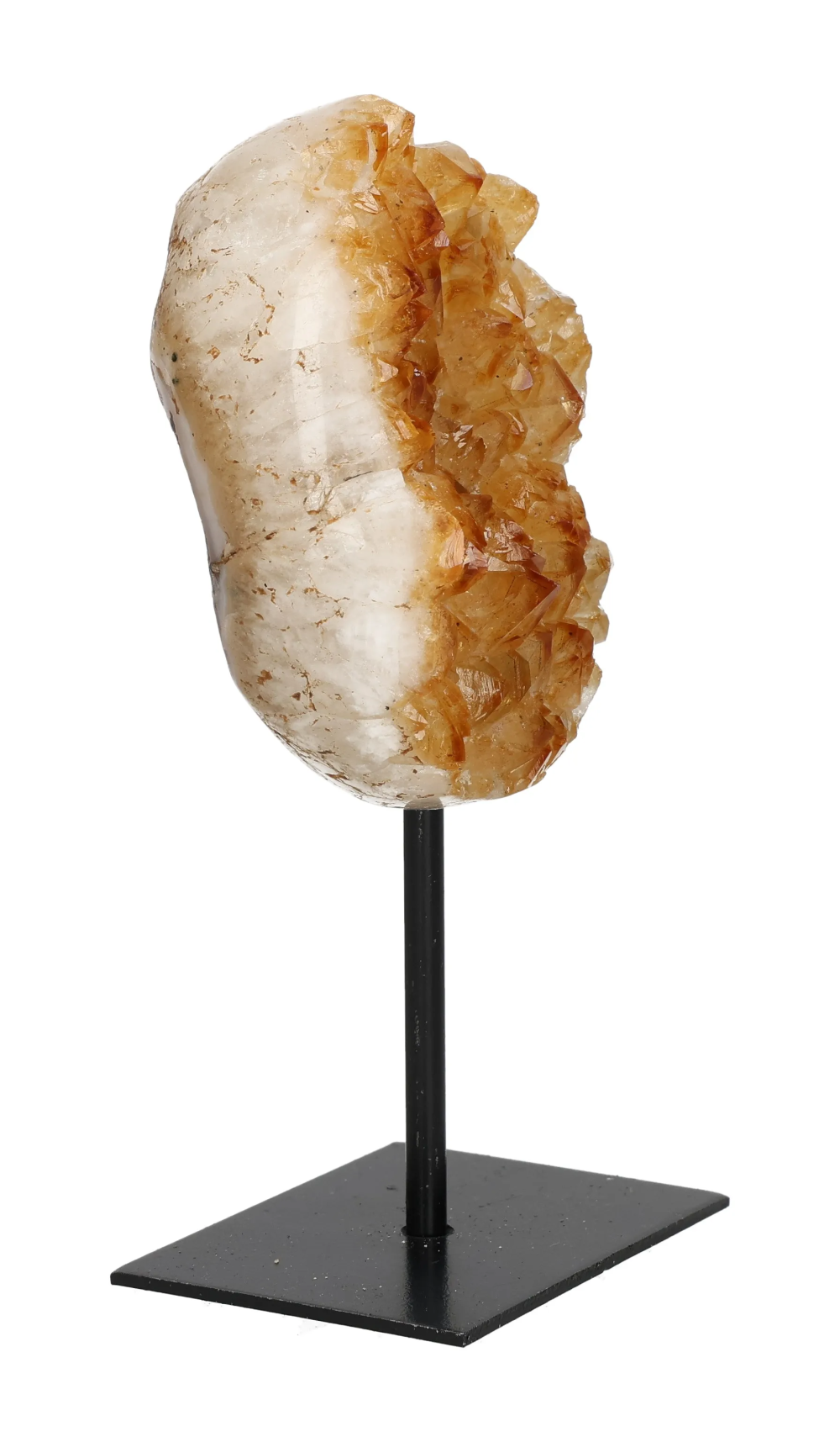 orbitvu|type:image2d