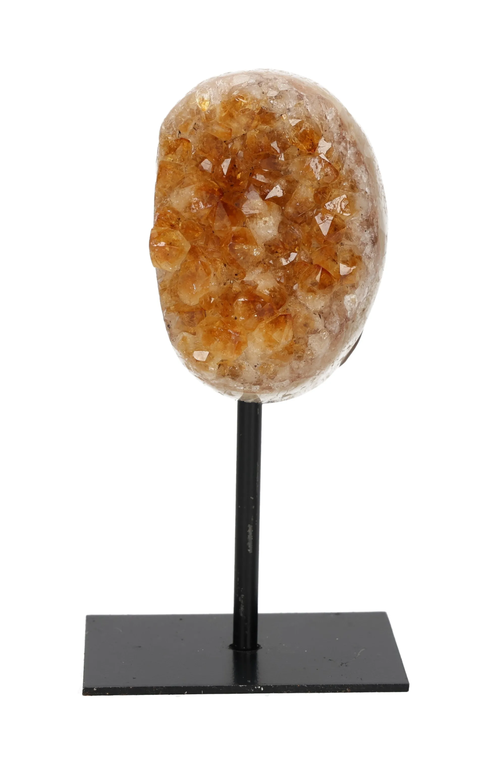 orbitvu|type:image2d