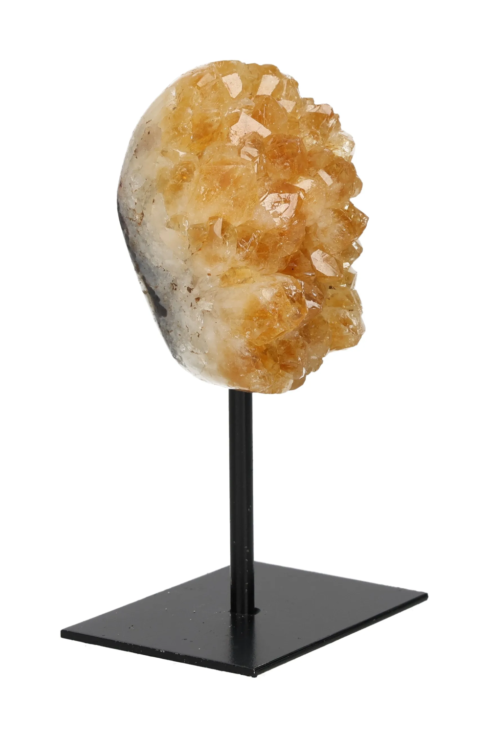 orbitvu|type:image2d