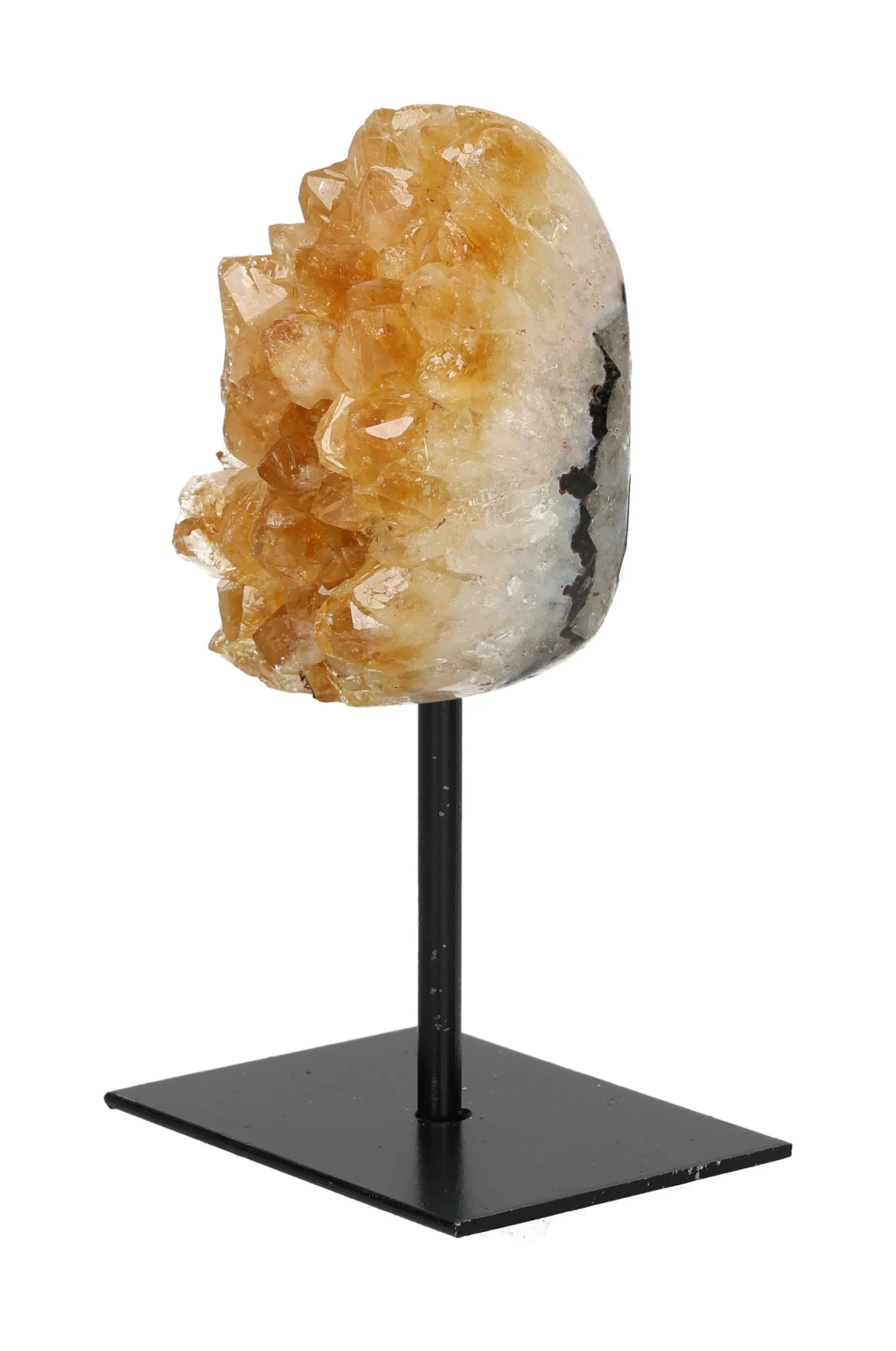 orbitvu|type:image2d