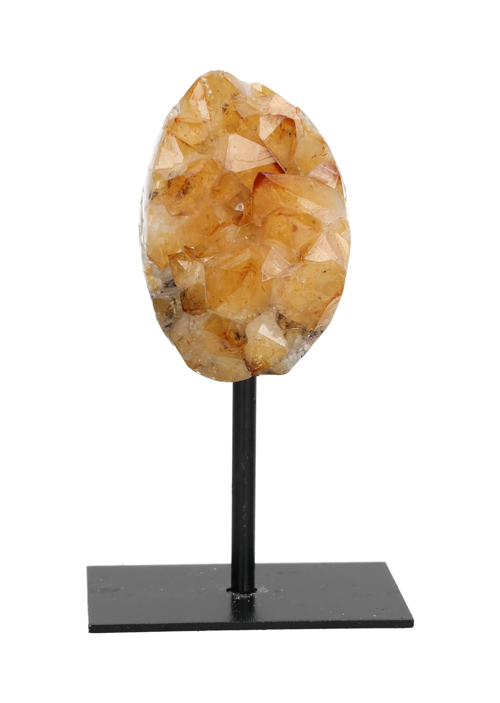 orbitvu|type:image2d