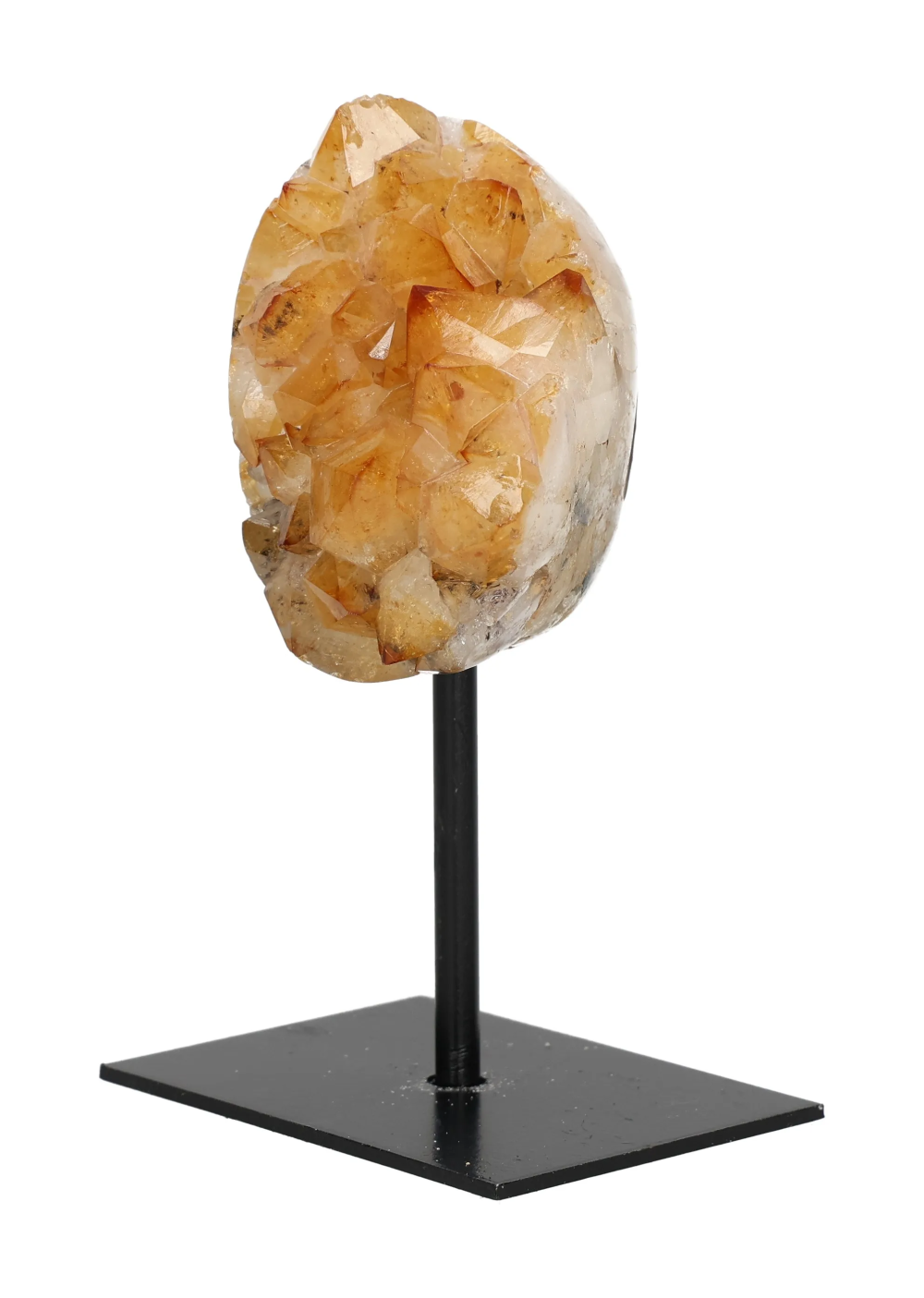 orbitvu|type:image2d