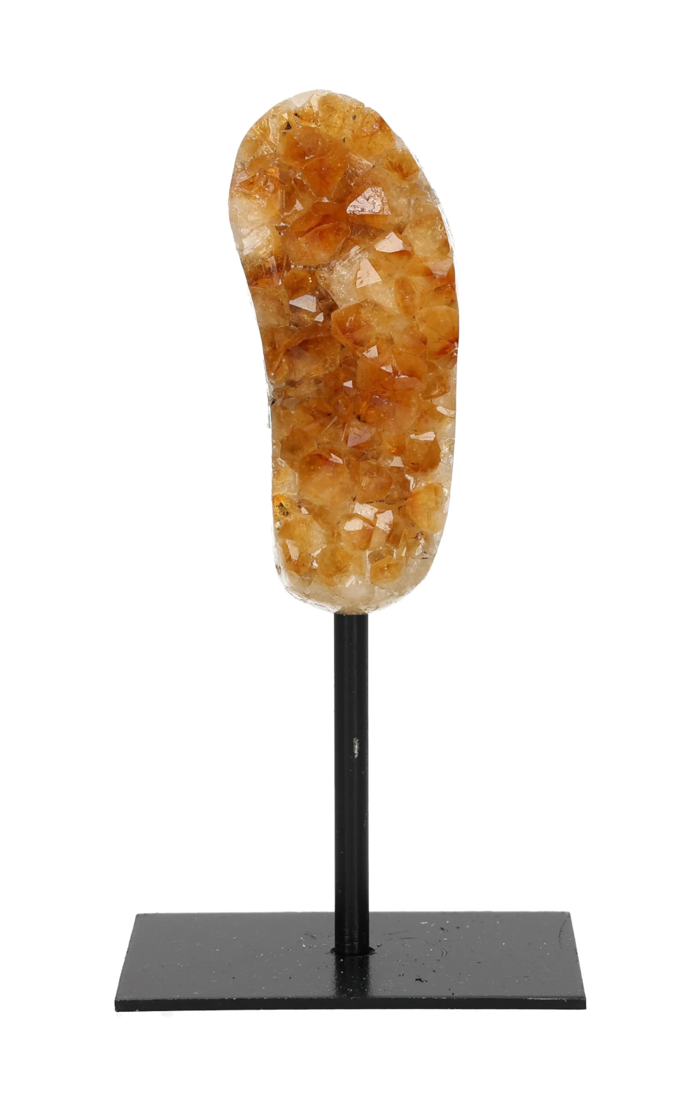 orbitvu|type:image2d