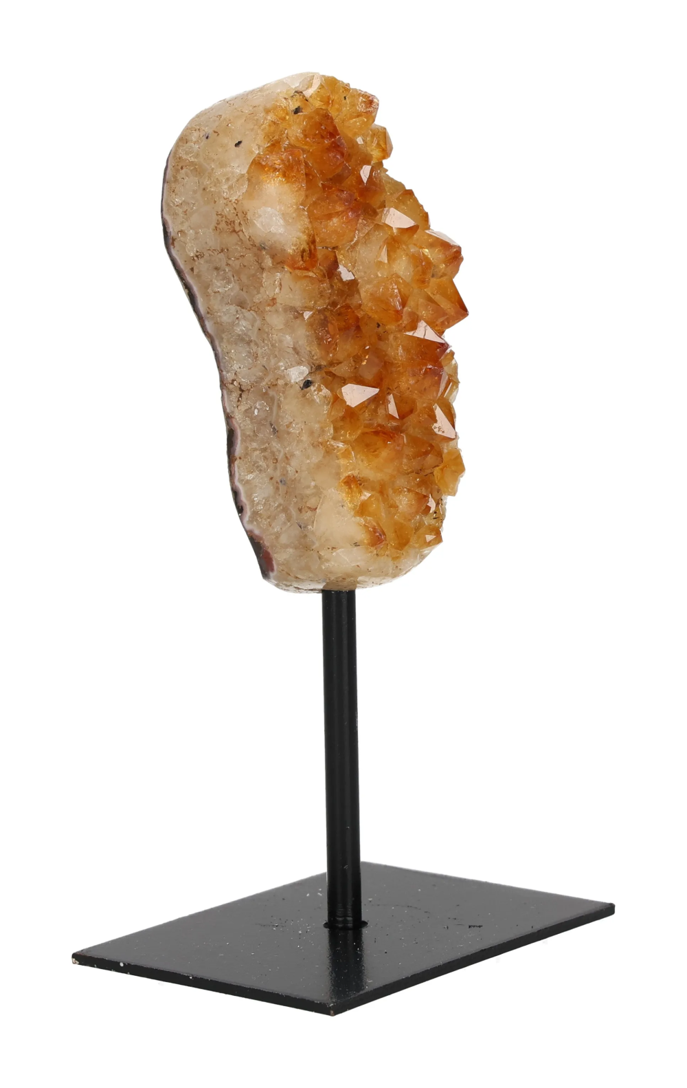 orbitvu|type:image2d