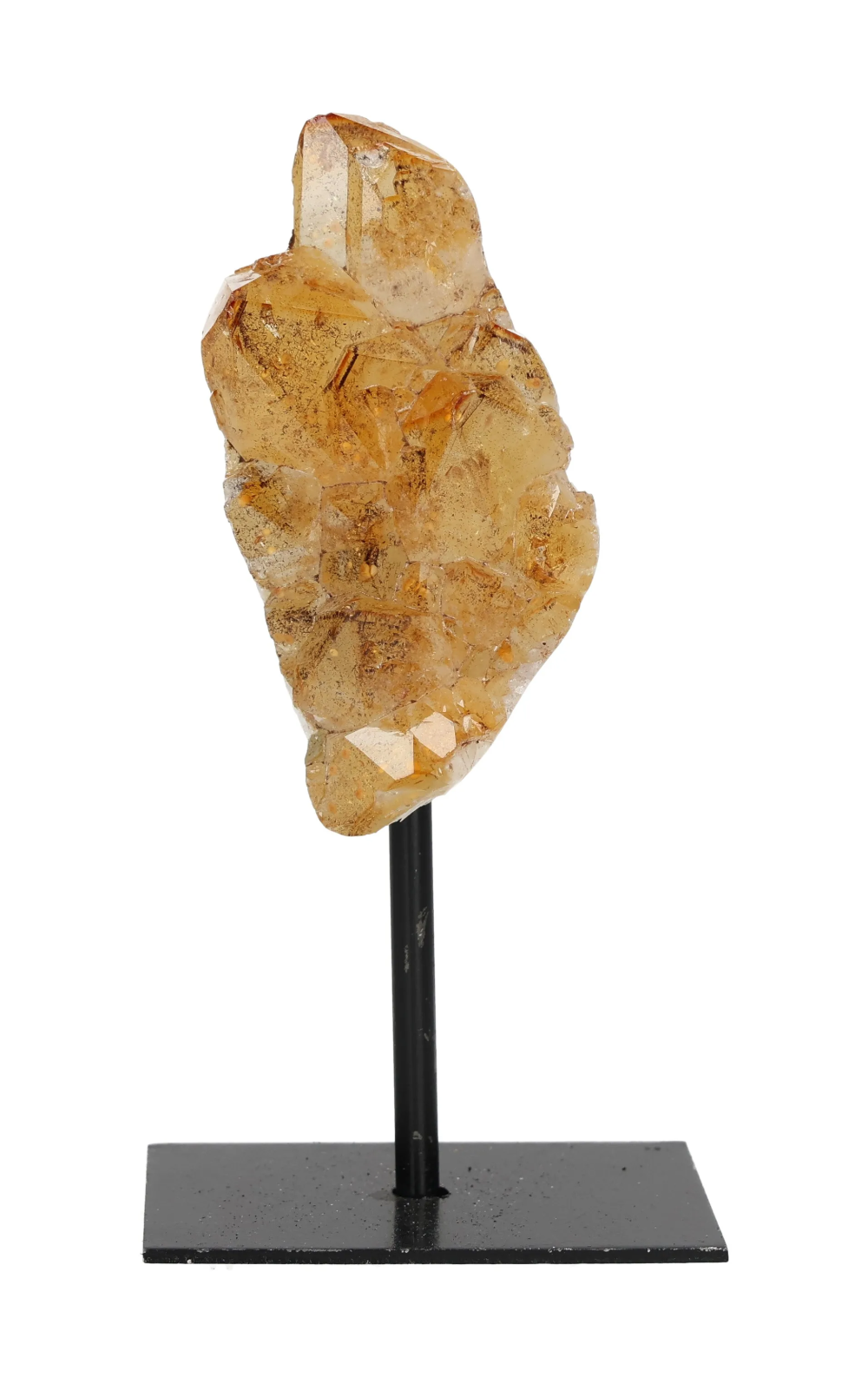 orbitvu|type:image2d