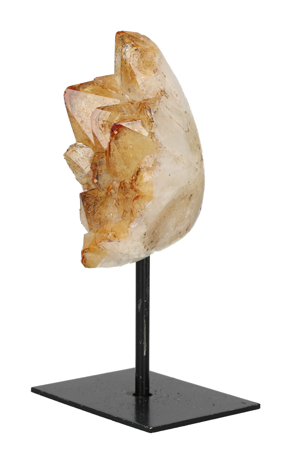 orbitvu|type:image2d