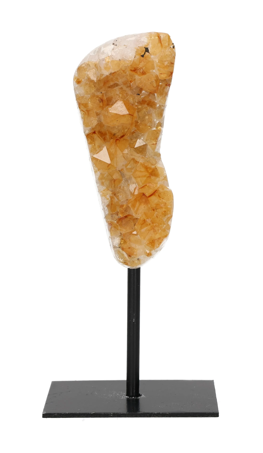 orbitvu|type:image2d