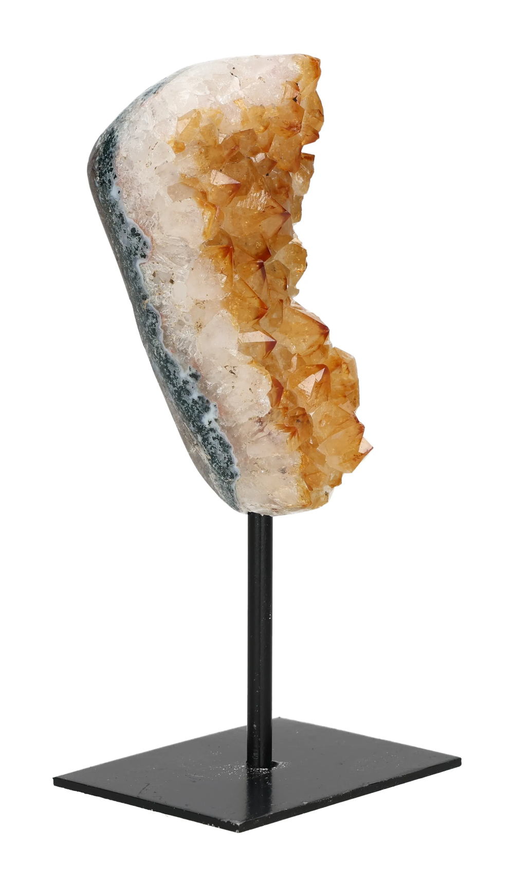 orbitvu|type:image2d