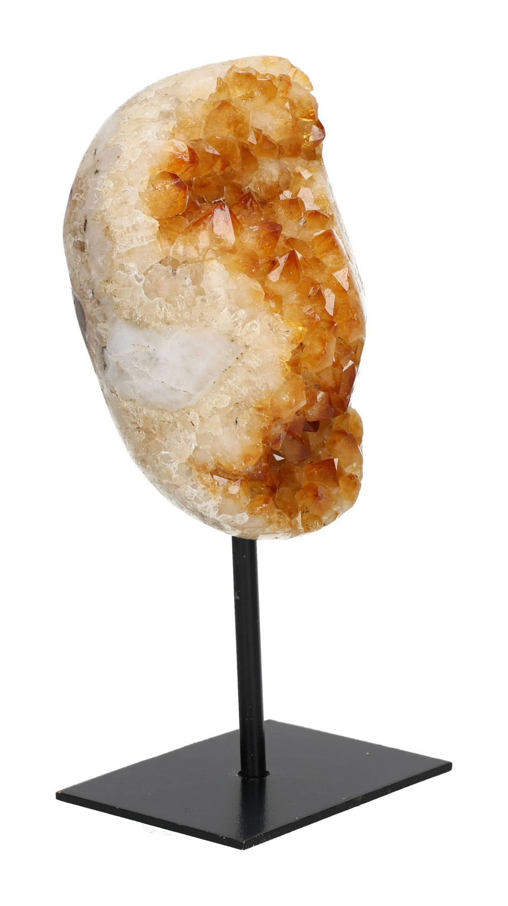 orbitvu|type:image2d