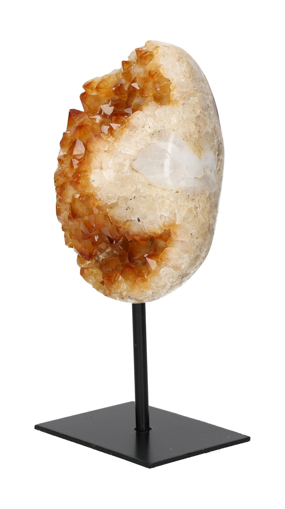 orbitvu|type:image2d