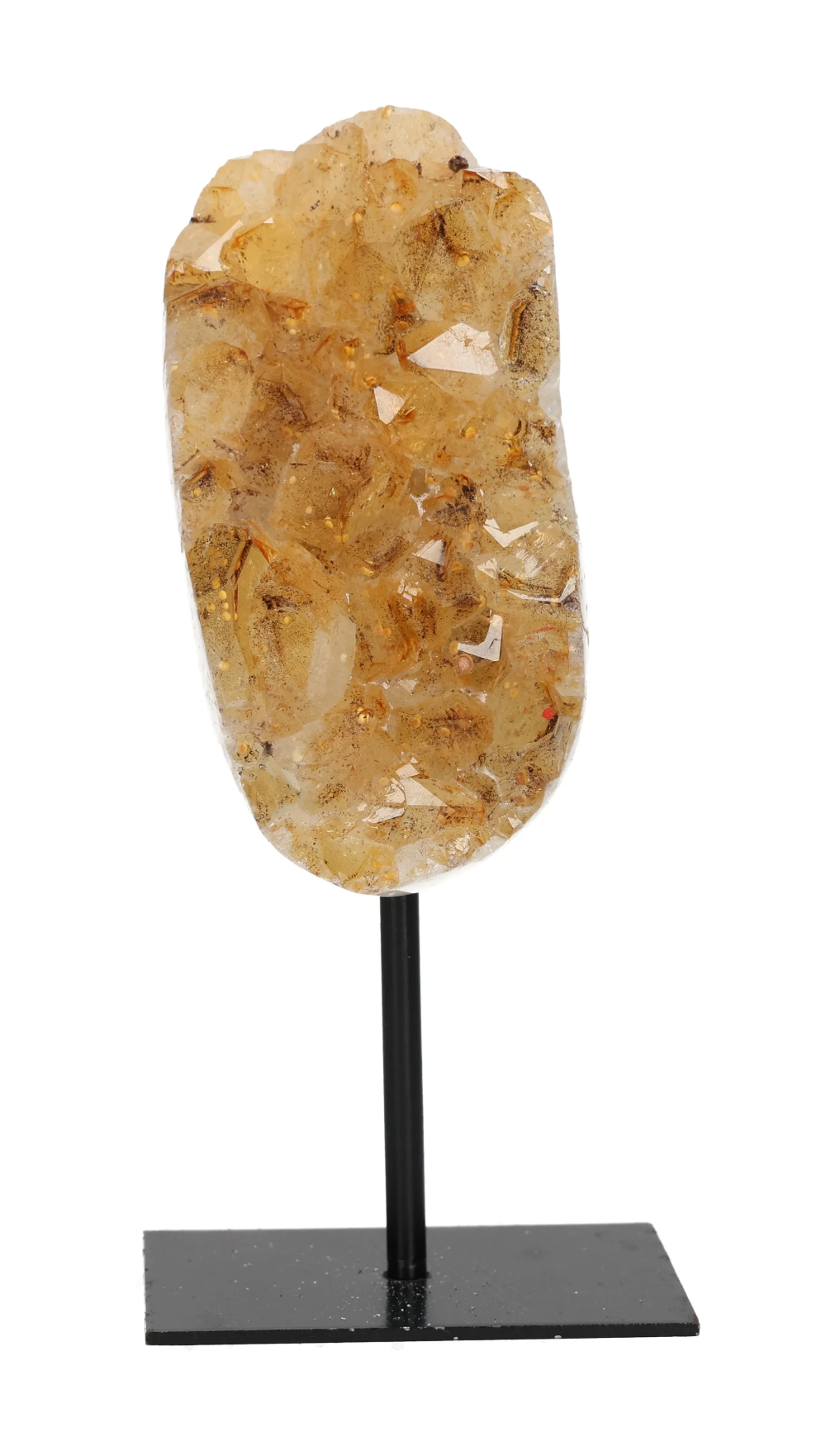 orbitvu|type:image2d