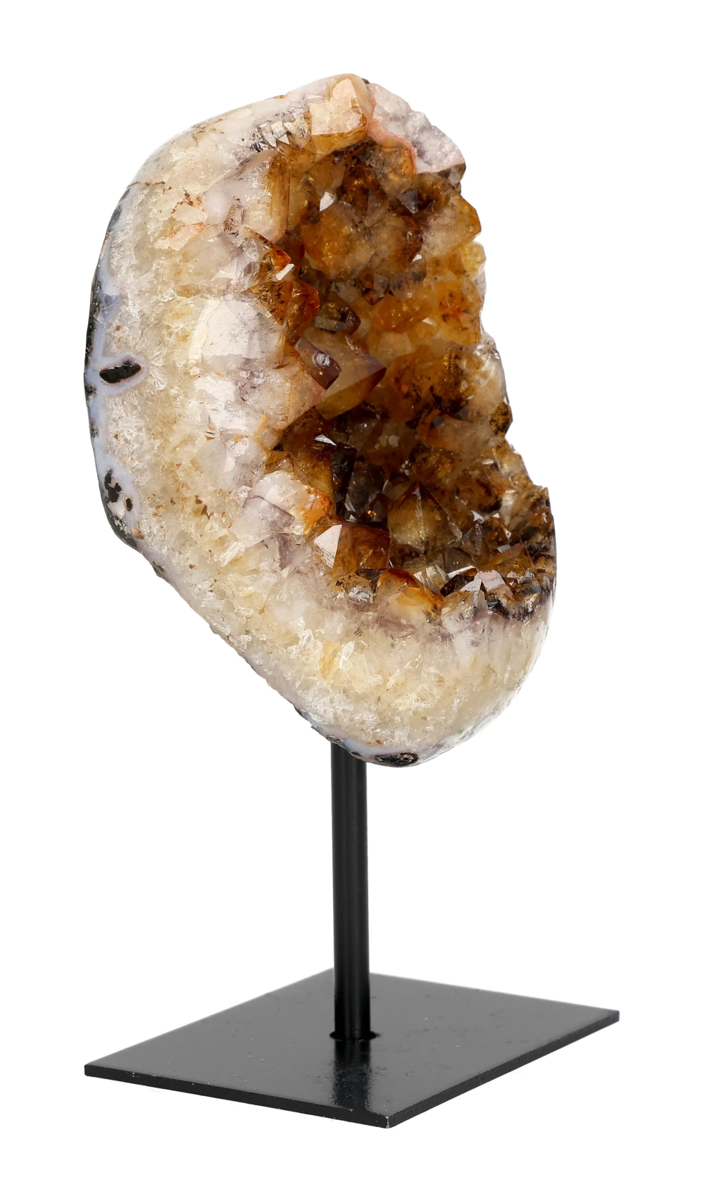 orbitvu|type:image2d