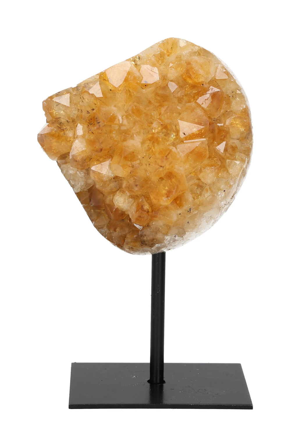 orbitvu|type:image2d