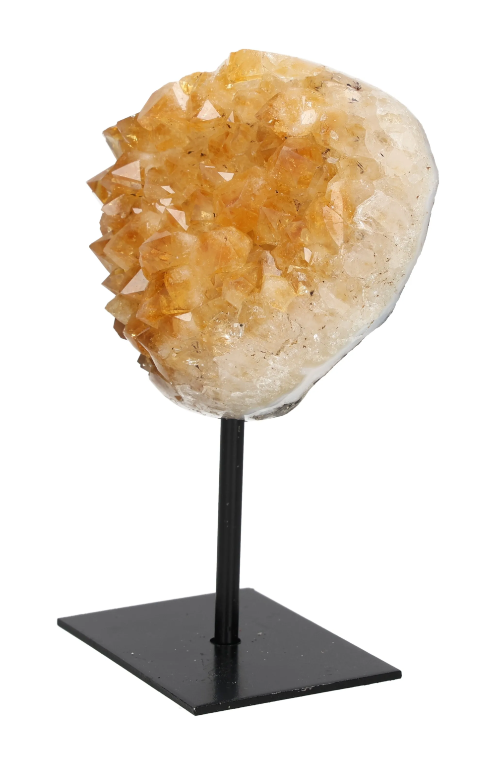 orbitvu|type:image2d