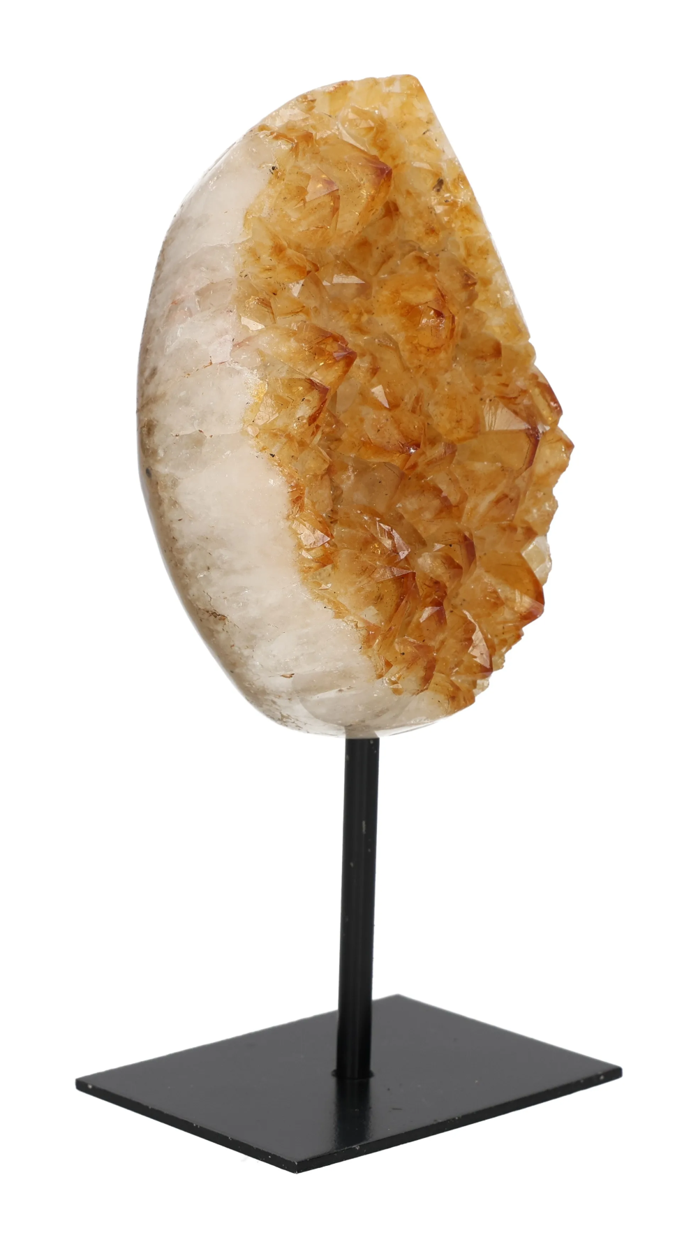 orbitvu|type:image2d